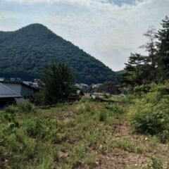 【貸地】岐阜市岩田坂の山林　キャンプや太陽光発電にいかがですか？ - 不動産