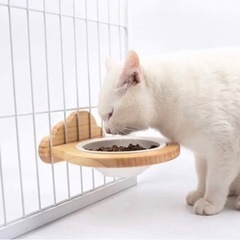 餌皿 陶器 猫食器 フードボウル 猫皿 陶器 ケージ用 陶器ボウル