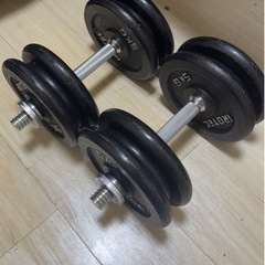 【ネット決済】ダンベル30kg x 2