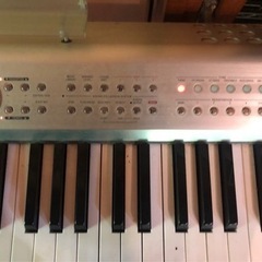 CASIO PL-40R 動作確認済 配達します
