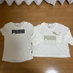 PUMAＴシャツ2枚