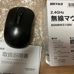 1日だけ使用とても美品　バッファローマウス