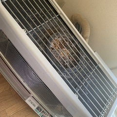 FF灯油ストーブ