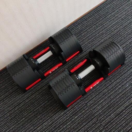 新品同様 32kg 2kg刻み 2個セット フレックスベル FLEXBELL Mad
