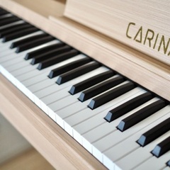【ネット決済】電子ピアノ（88鍵盤）Carina カリーナ