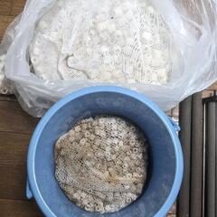 受付終了‼引渡先決定アクリル水槽1800＋シルバーアロワナ＋他水槽用品