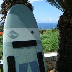 再値下げ！ softech 6.0 ソフテック スポンジボード　ソフトボード　サーフボード  ソフトフィン＆デッキパット＆リーシュコード付　超美品
