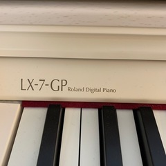 【値下げ！】LX7GP-MW【値引交渉可能】