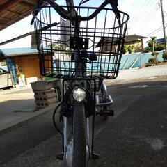 電動アシスト三輪車に、乗りませんか   ?✌️