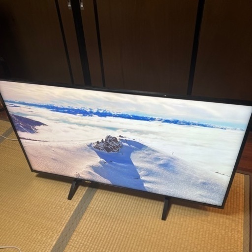 希少！！】 パナソニックTH-49FX600 液晶テレビ - erational.com