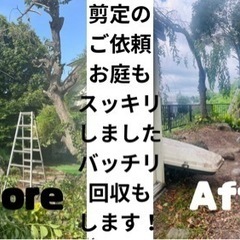 🔥急募🔥めちゃくちゃ盛り上がってます！一緒に働きましょう！