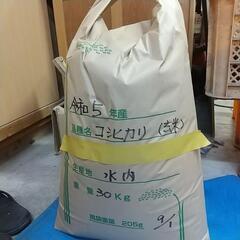令和５年産 コシヒカリ ３０キロ玄米