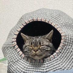 【ネット決済・配送可】🐱猫　ベッド　ハンドメイド