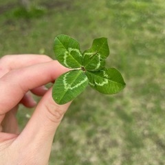 ママ友募集です☺︎