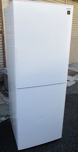 ☆シャープ SHARP SJ-PD28E-W 280L 2ドアノンフロン冷凍冷蔵庫◆プラズマクラスター搭載