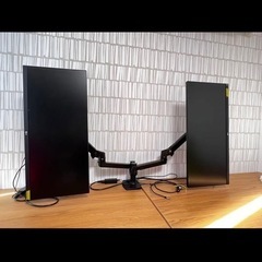 LG 29型ワイドディスプレイx2台 と モニターアームデュアルのフルセット
