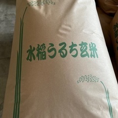 ミルキークイーン　玄米30.5キロ　新米　令和5年産
