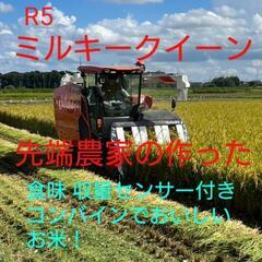 R5 ミルキークイーン 先端農家米 堆肥を使って体に良いおいしいお米