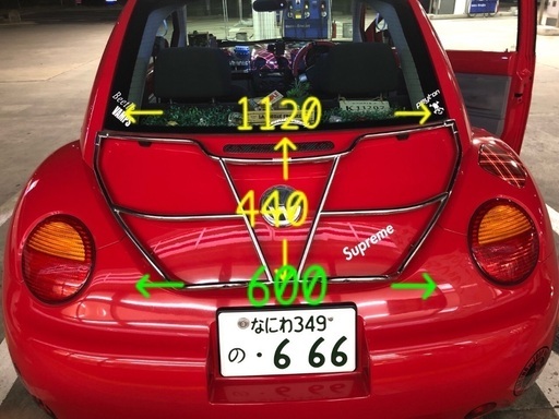 激レア ニュービートルリアキャリア