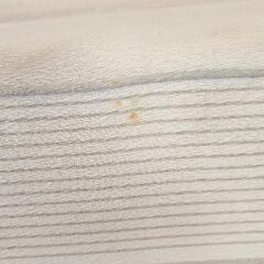 ヘルスウェーブ