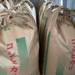 令和5年度新米　　コシヒカリ　　30㎏玄米
