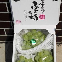 希少品種　ぶどう　翠峰　ご家庭用　2キログラム　２250円