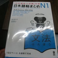 日本語総まとめ N1 文法 (「日本語能力試験」対策) 