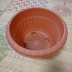 プラスチック　植木鉢　ダイソー