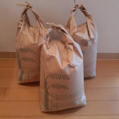 玄米１０キロ(品種キヌヒカリ、昨秋収穫)
