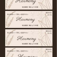 赤土琉球ハーブ蒸し🌿Harmony.温活回数券♡