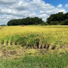 R5年新米配達料込み県南、県西地区のみ配達可能‼️