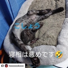 仲良しゆずこしょう♡ - 薩摩川内市