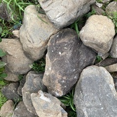 庭石　自然石　無料で差し上げます
