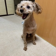 10歳 元気くん⭐️ − 石川県