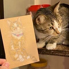 【9月22日（金）】池袋の保護猫カフェで「​猫のいる猫の絵教室」🐈