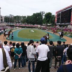 趣味友　カフェ☕　バスケ⛹️　アコギ🎸　競馬🐴➰💨　　繋がりを増...