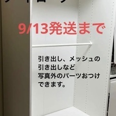 【ネット決済】IKEA PAX/パックス 引出しバスケット ワー...