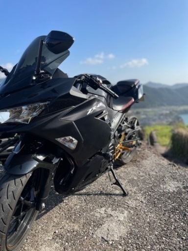 3/22まで値下げ‼️ninja400 ex400g