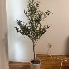 人工観覧植物　フェイクグリーン　オリーブ　125cm