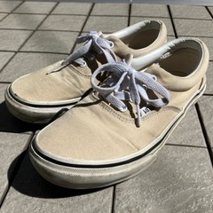 vans レディーススニーカー