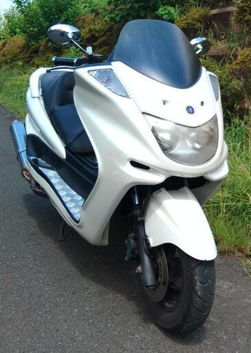 マジェスティ125（自賠責R6.8まで） YAMAHA マジェスティ 125 自賠責R6年9月まで 【公式通販】