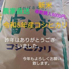 新米！令和5年産コシヒカリ玄米　30kg