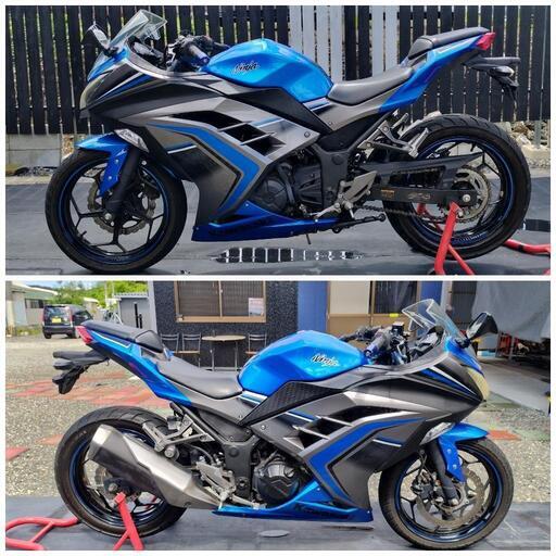 【ご成約】★全国自宅配送手配可能★　カワサキ　Ninja250 ABSモデル　Special　Edition　2016年式