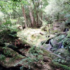 ９月２８日（木）栗が岳（掛川市）を登りませんか
