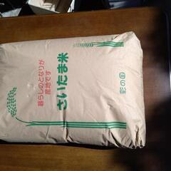 新米(玄米)コシヒカリ1袋30kg　①