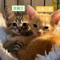 可愛すぎる♡北島三郎&吉幾三