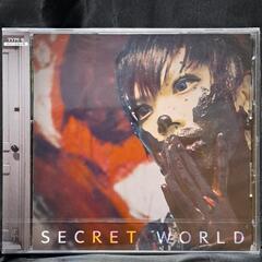 SECRET WORLD（TYPE-B）CD+DVD