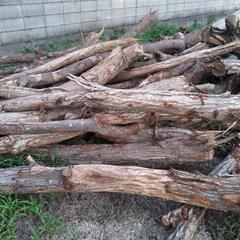 薪　伐採木