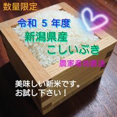 令和5年度  新米 こしいぶき