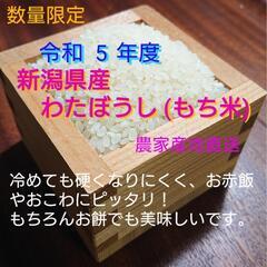 令和5年度 新米 わたぼうし(もち米)